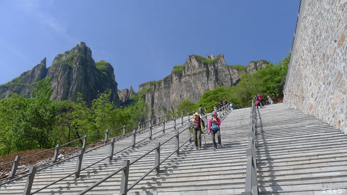 P1040661.jpg