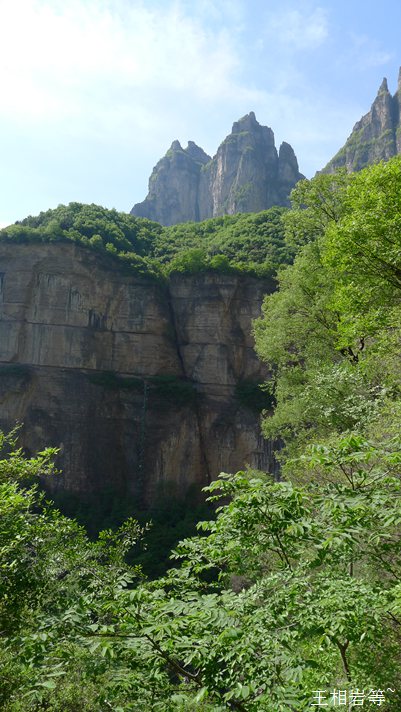 P1040667.jpg
