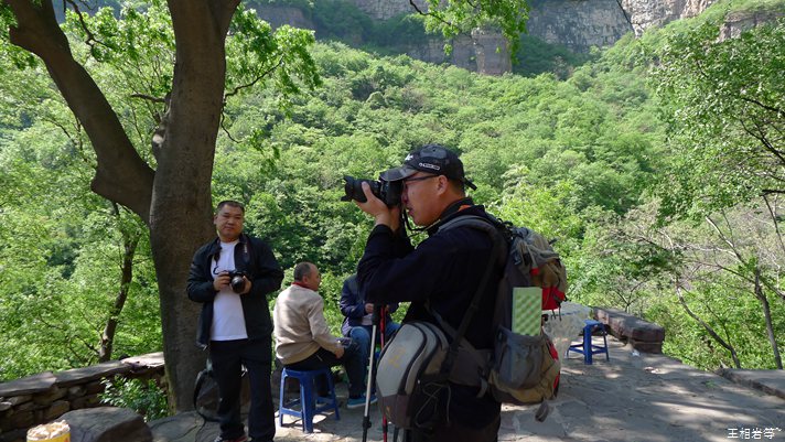 P1040681.jpg