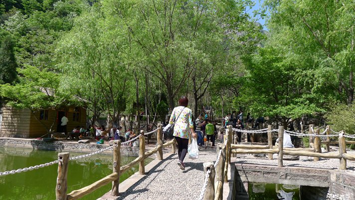 P1040691.jpg