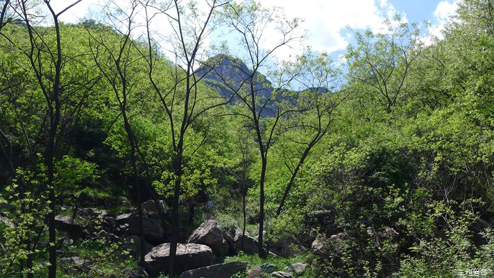 P1040743.jpg