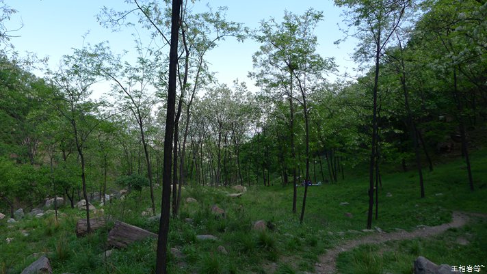 P1040759.jpg