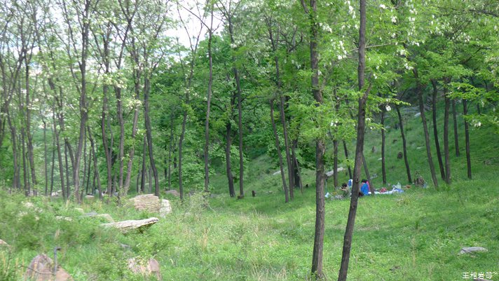 P1040760.jpg