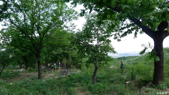 P1040766.jpg