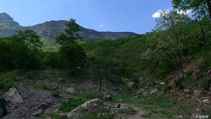 P1040769.jpg