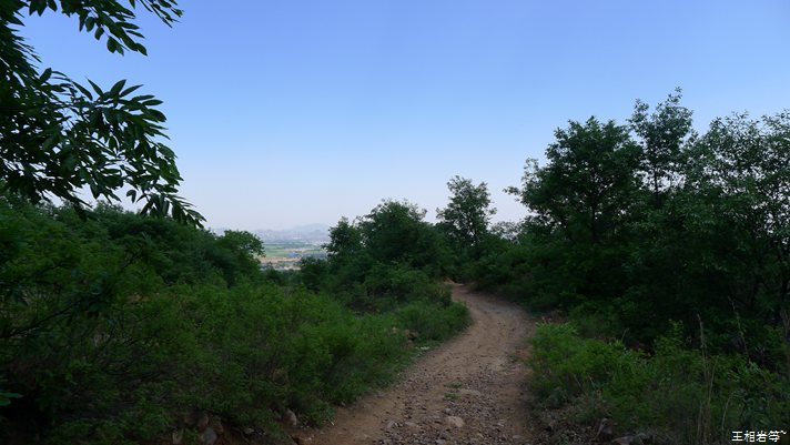 P1040771.jpg