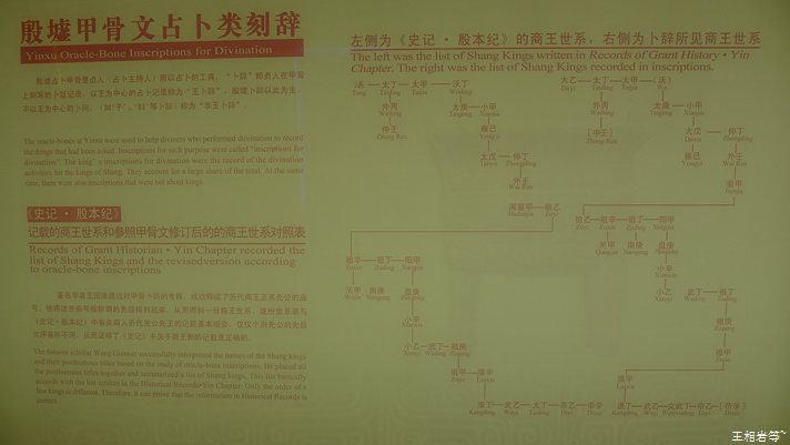 P1040794.jpg