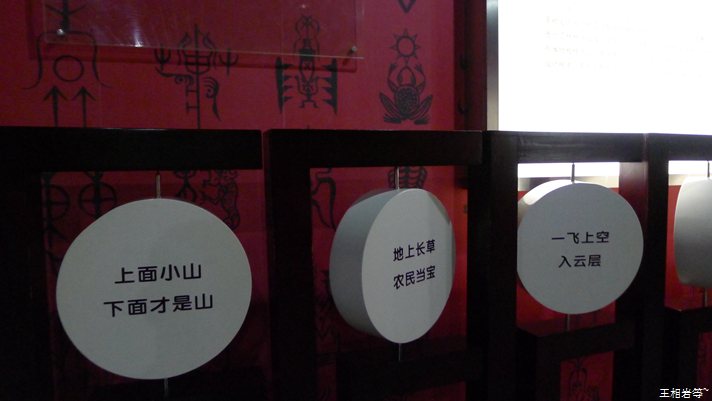 P1040804.jpg