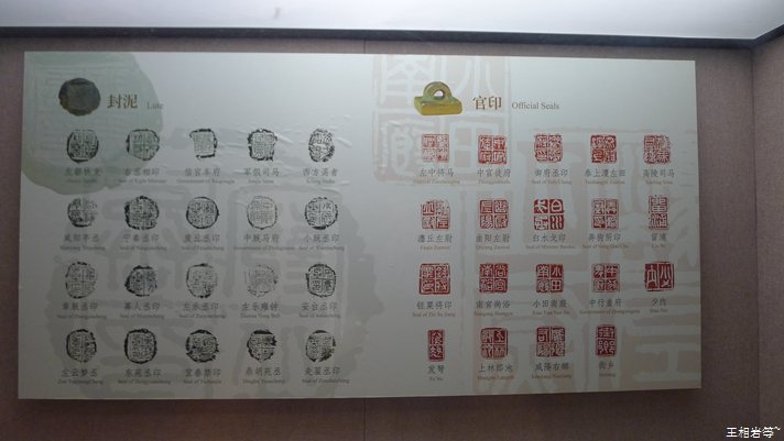 P1040805.jpg