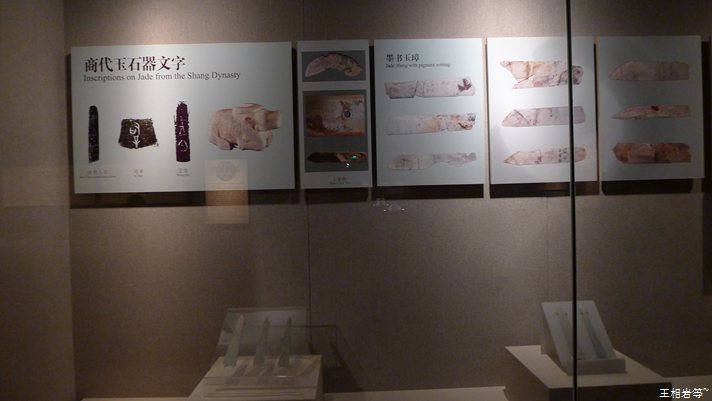 P1040807.jpg