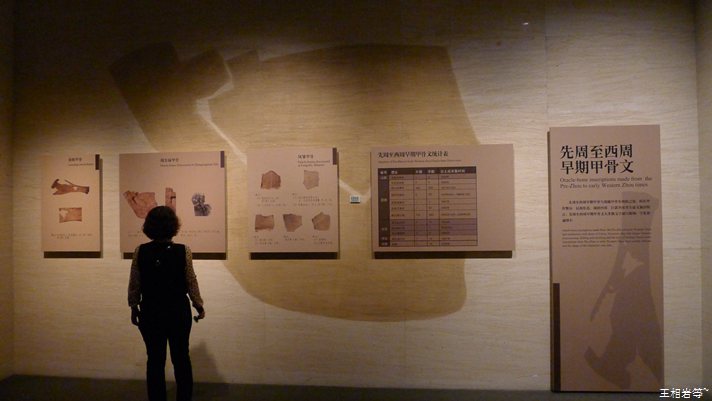 P1040843.jpg