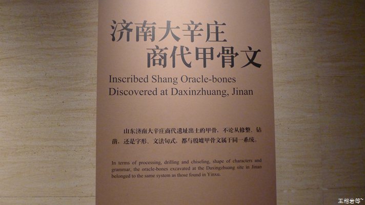 P1040844.jpg