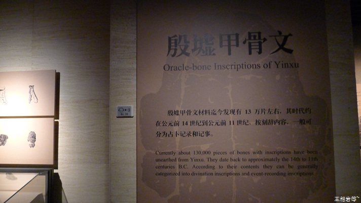 P1040848.jpg