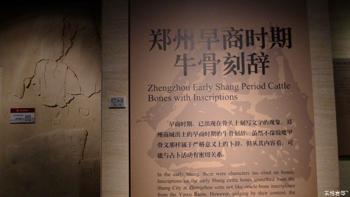 P1040849.jpg