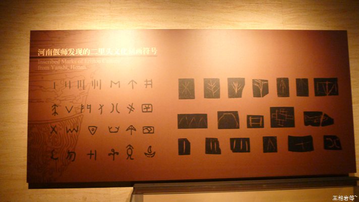 P1040850.jpg