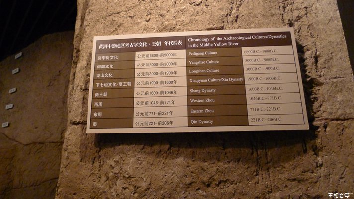 P1040854.jpg