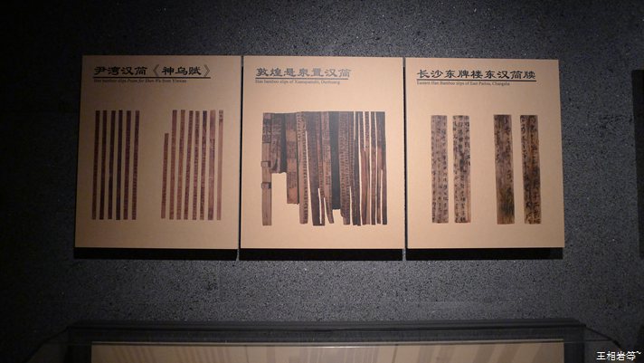 P1040863.jpg