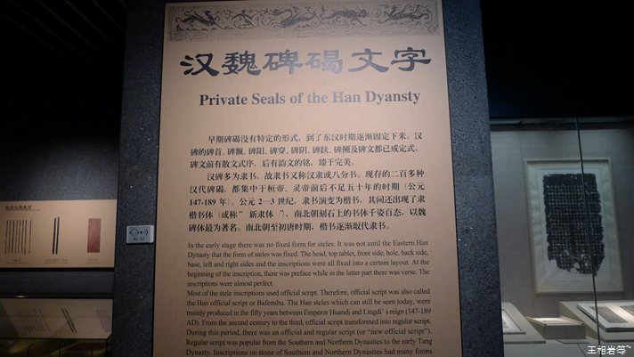 P1040864.jpg