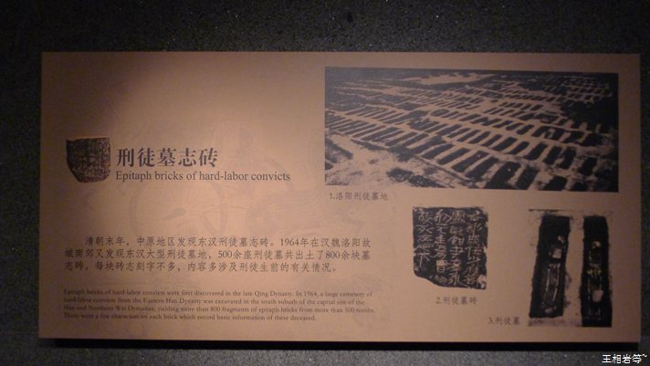 P1040867.jpg
