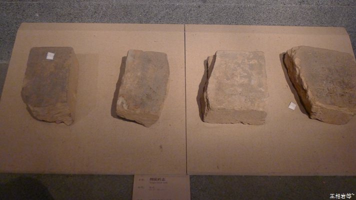 P1040868.jpg