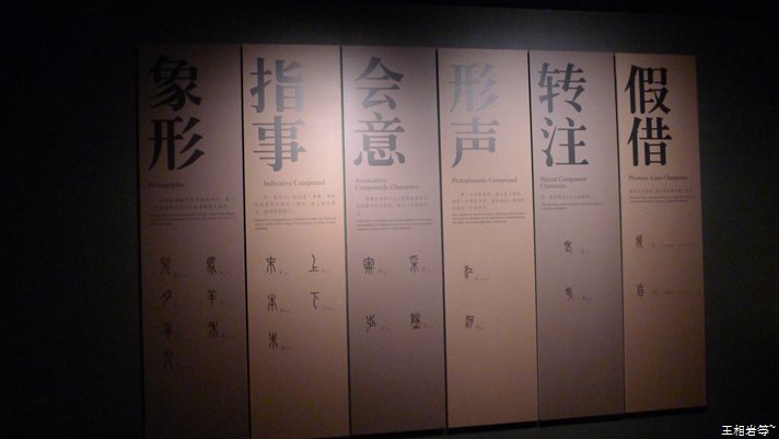 P1040883.jpg