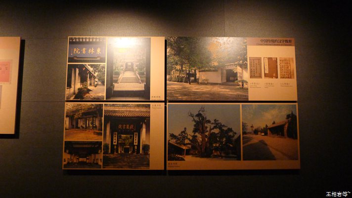 P1040886.jpg
