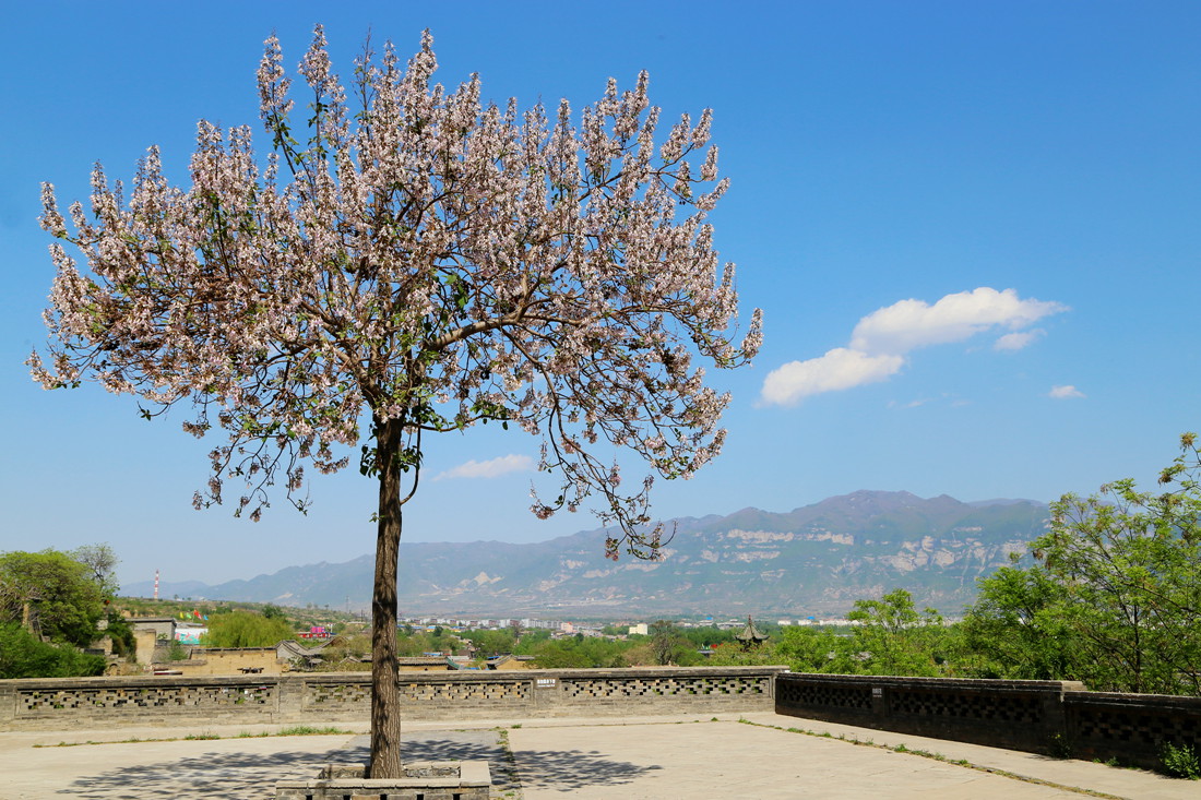 IMG_0588_副本.jpg