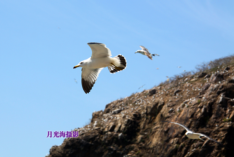 IMG_5004.JPG