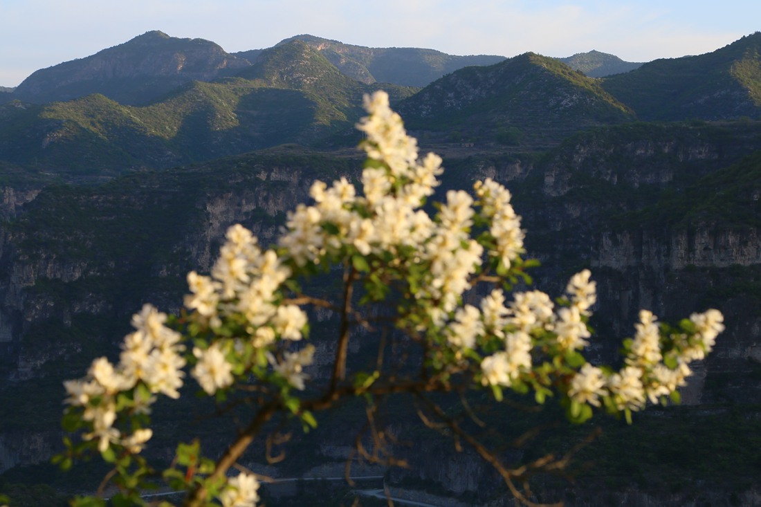 IMG_0673_副本.jpg