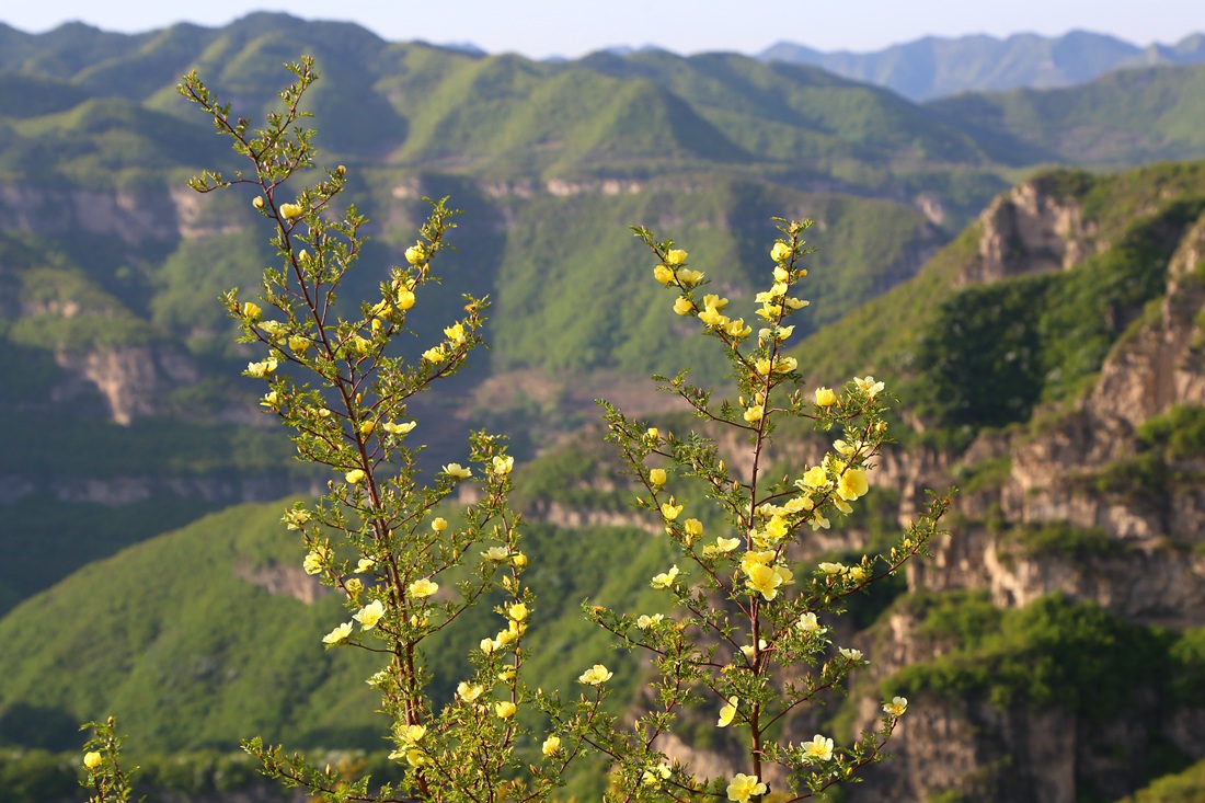 IMG_0796_副本.jpg