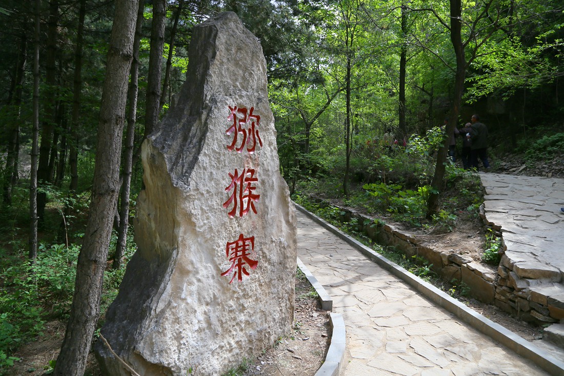 IMG_0866_副本.jpg