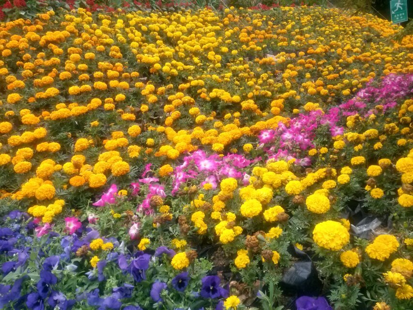 20140221_110254.jpg