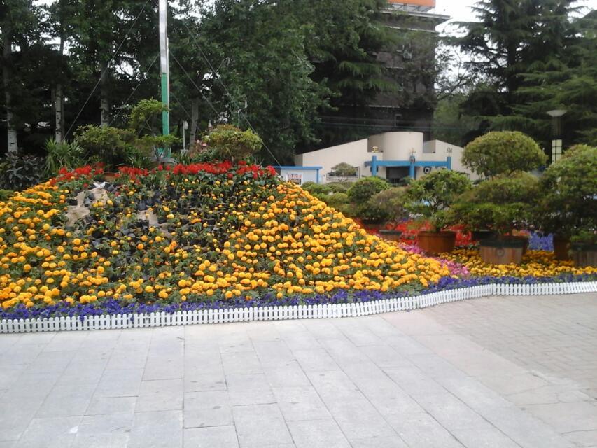 20140219_183856_LLS.jpg