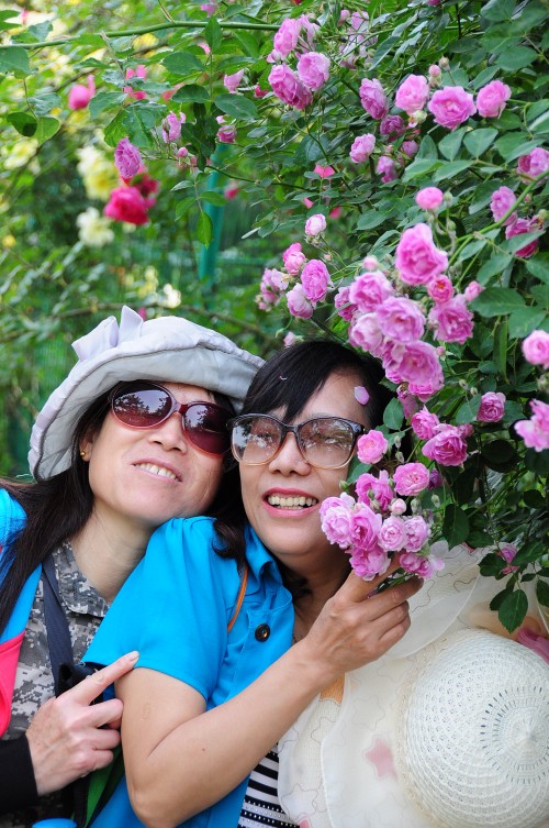 dsc_0429_conew1.jpg