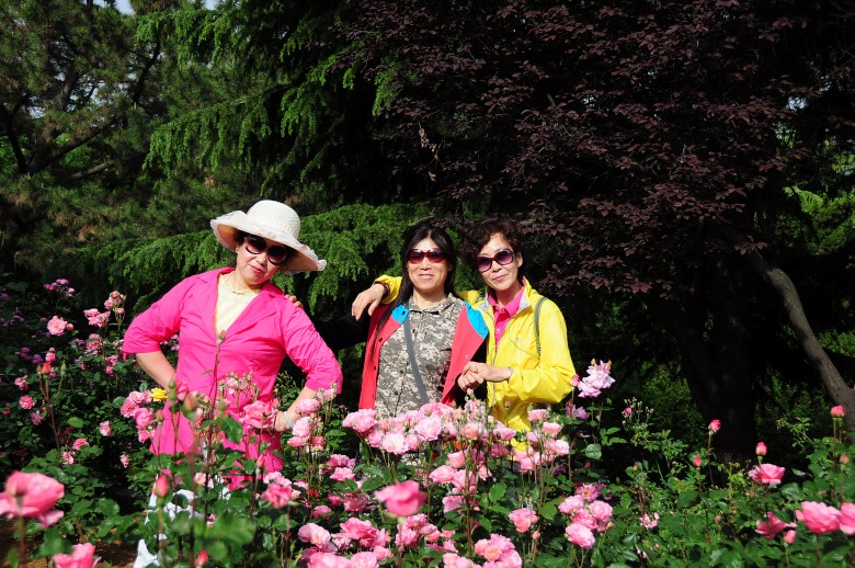 dsc_0443_conew1.jpg