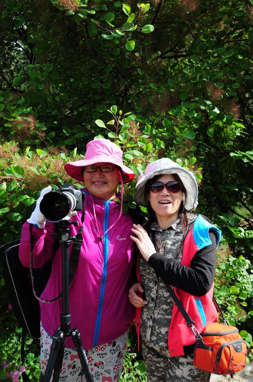 dsc_0622_conew1.jpg