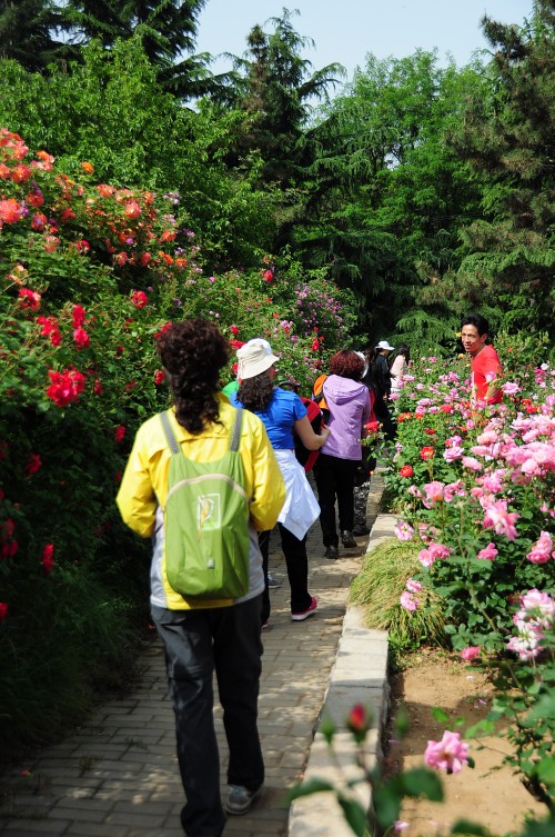 dsc_0633_conew1.jpg