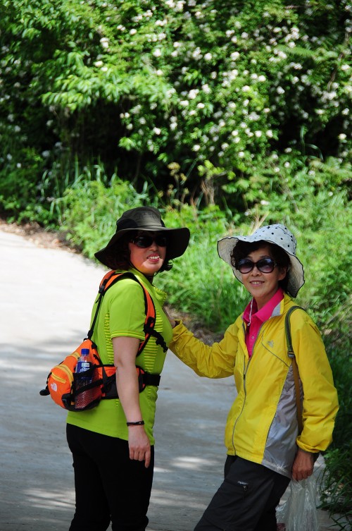 dsc_0808_conew1.jpg
