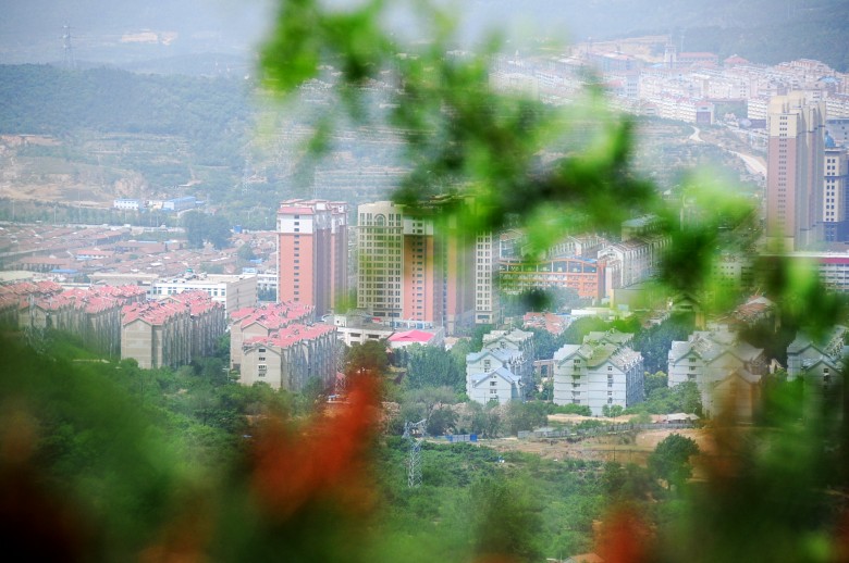 dsc_0817_conew1.jpg