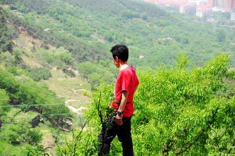dsc_0818_conew1.jpg