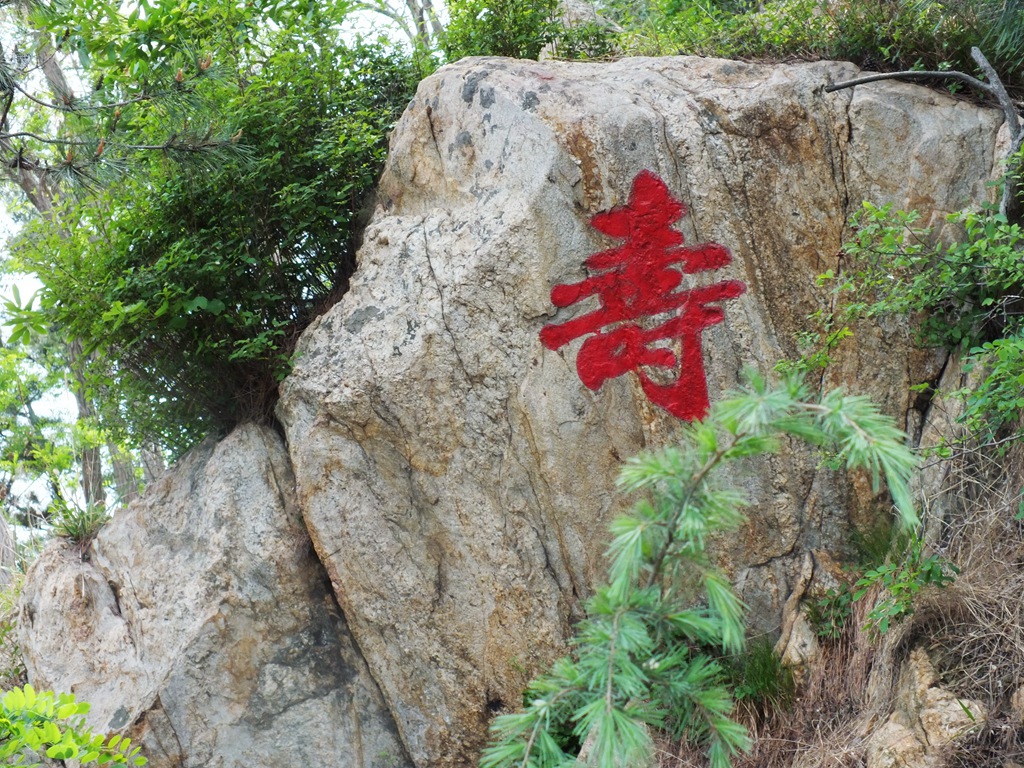 DSCF4826.JPG