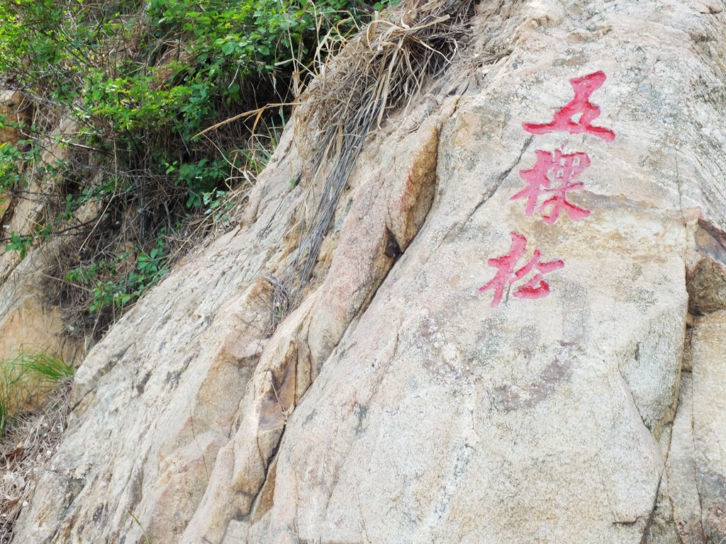 DSCF4827.JPG