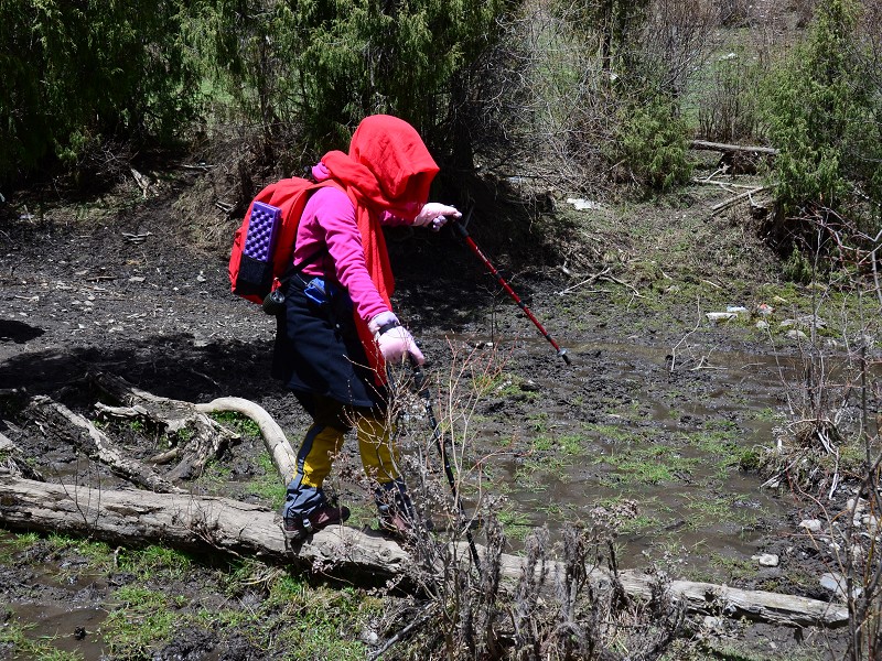 PhotoCap_272.jpg