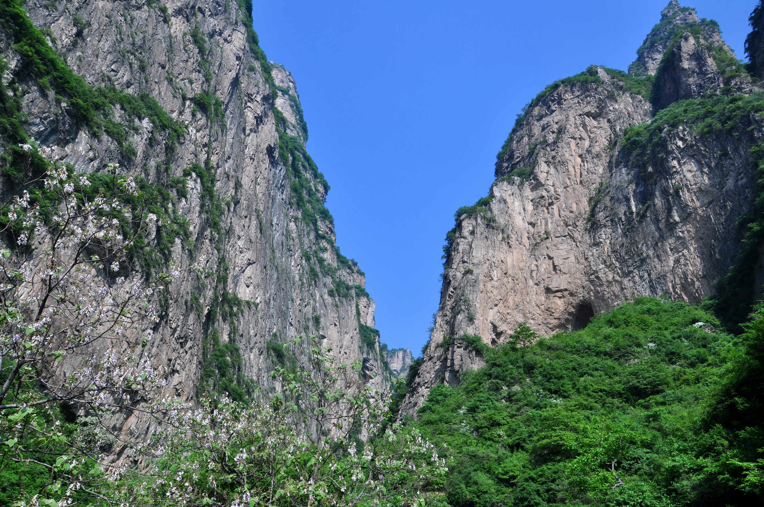 nEO_IMG_DSC_1003.jpg