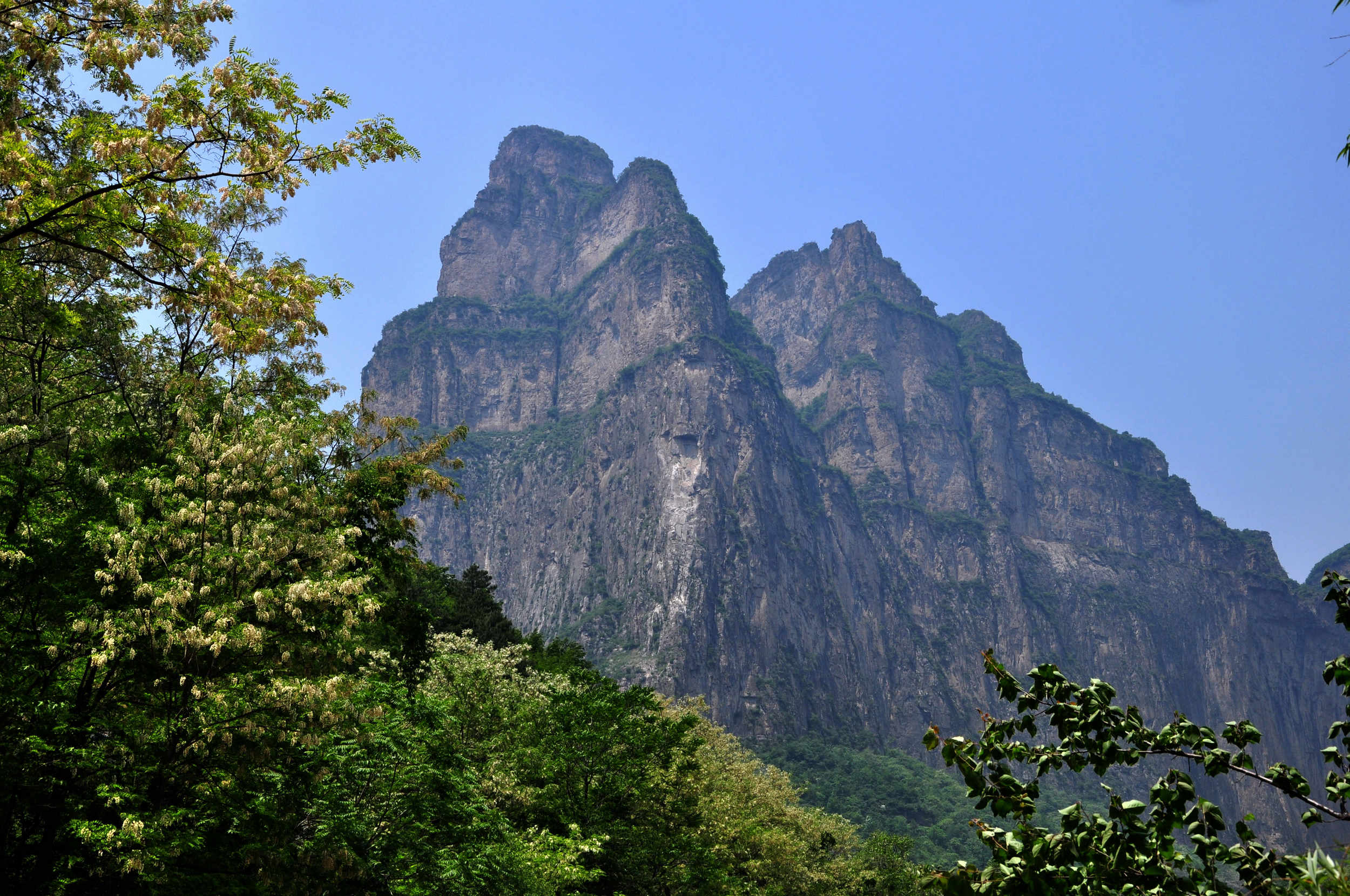 nEO_IMG_DSC_0077.jpg
