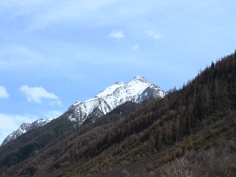 PhotoCap_360.jpg