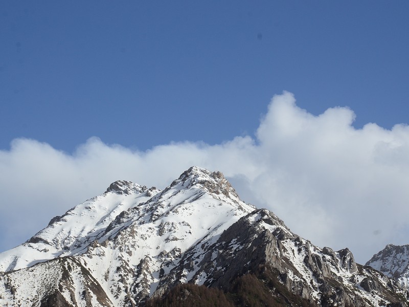 PhotoCap_383.jpg