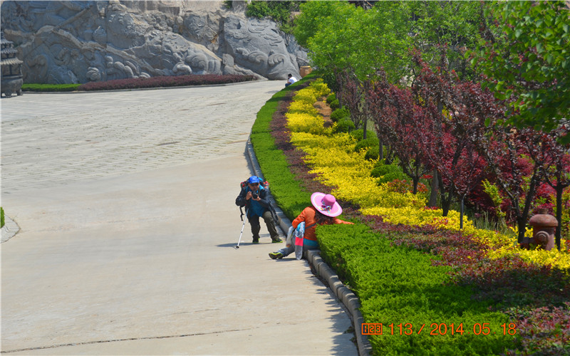 DSC_1035.jpg