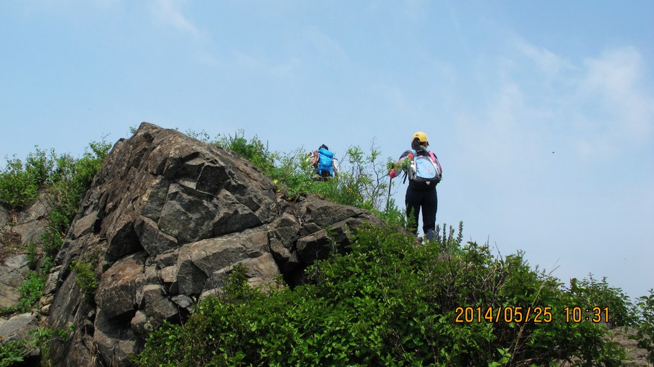 IMG_4512.jpg
