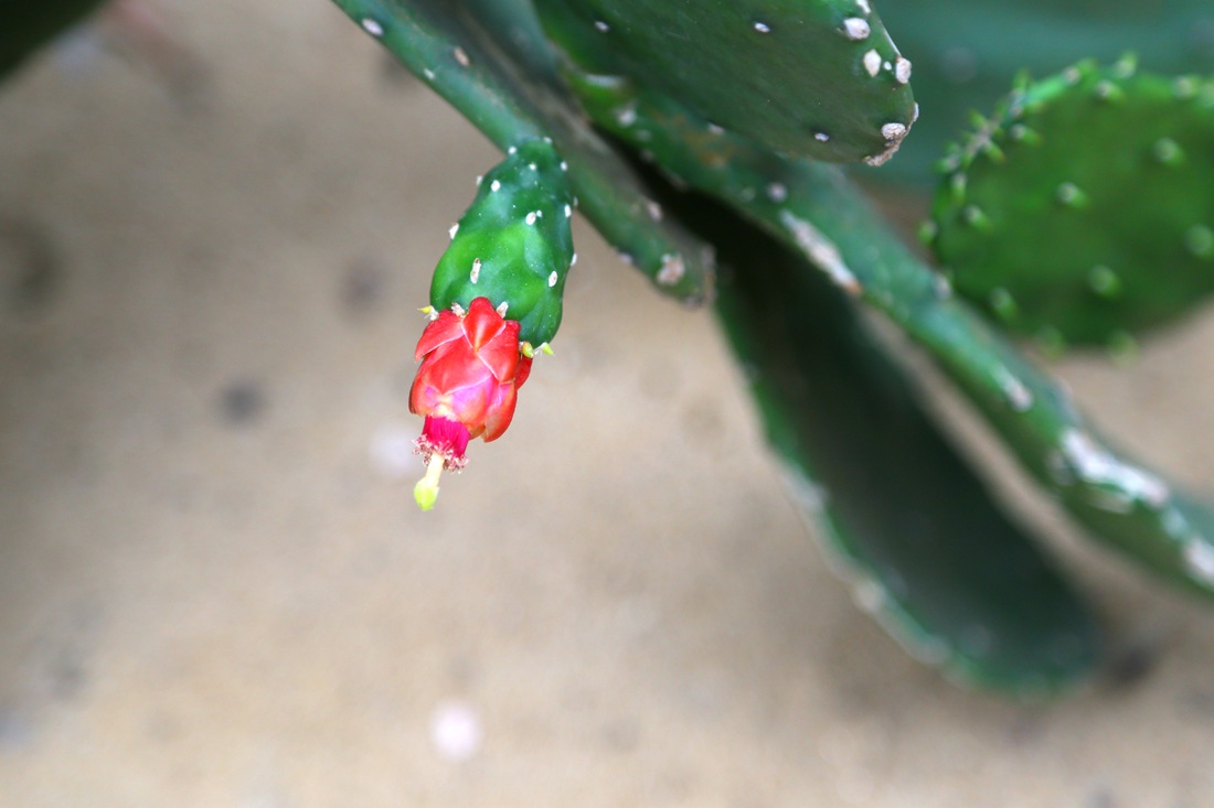 IMG_0087_副本.jpg